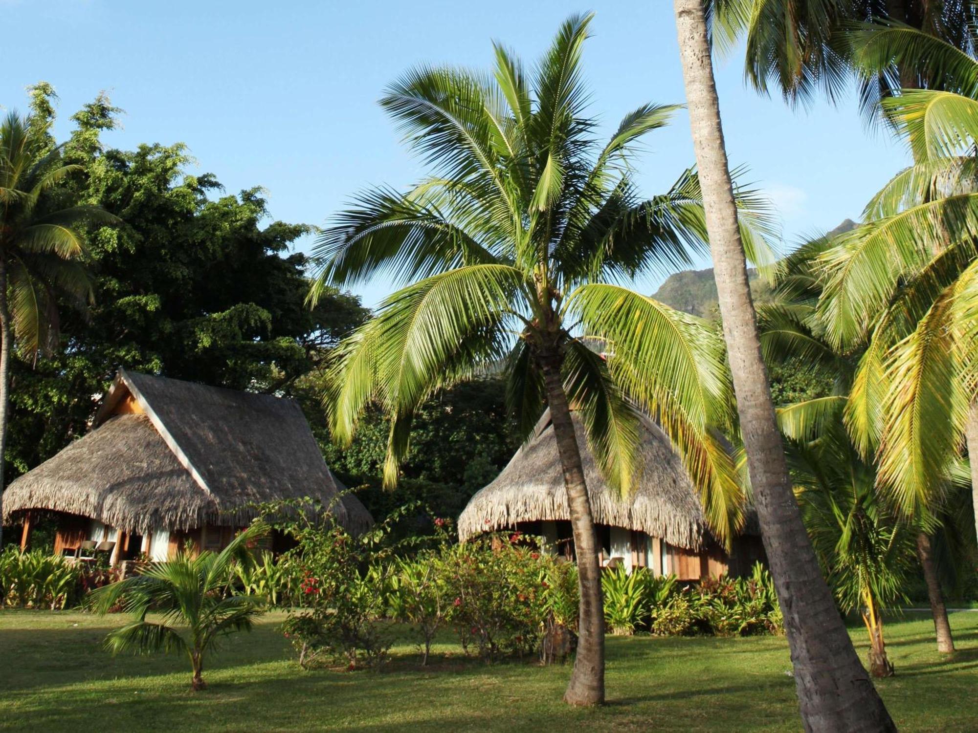 Luxury Villa Garden View